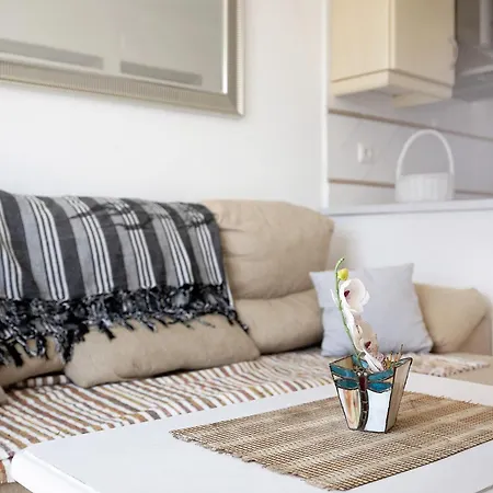 Surfer 公寓 塔里法