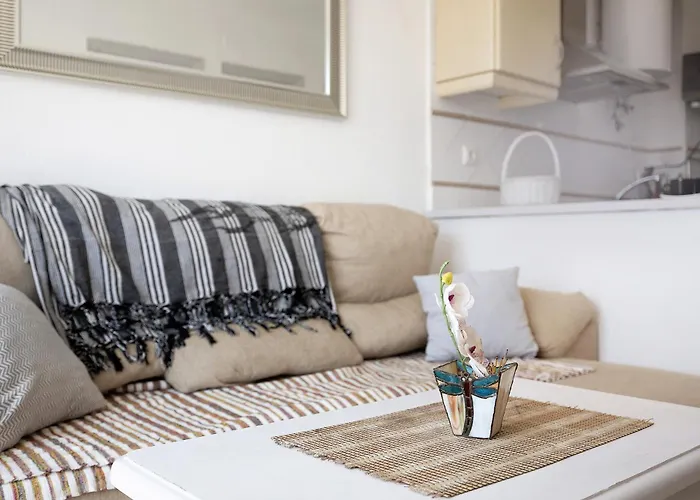 Surfer 公寓 塔里法